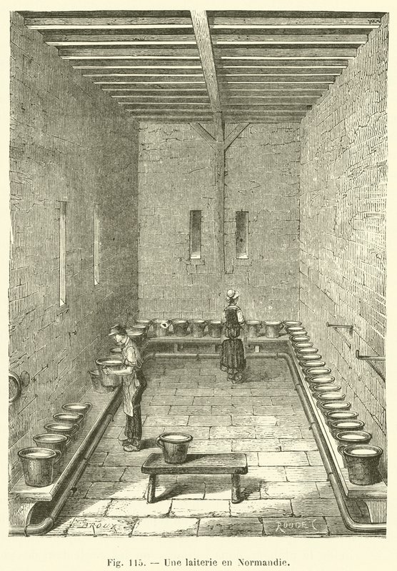 Eine Molkerei in der Normandie von French School