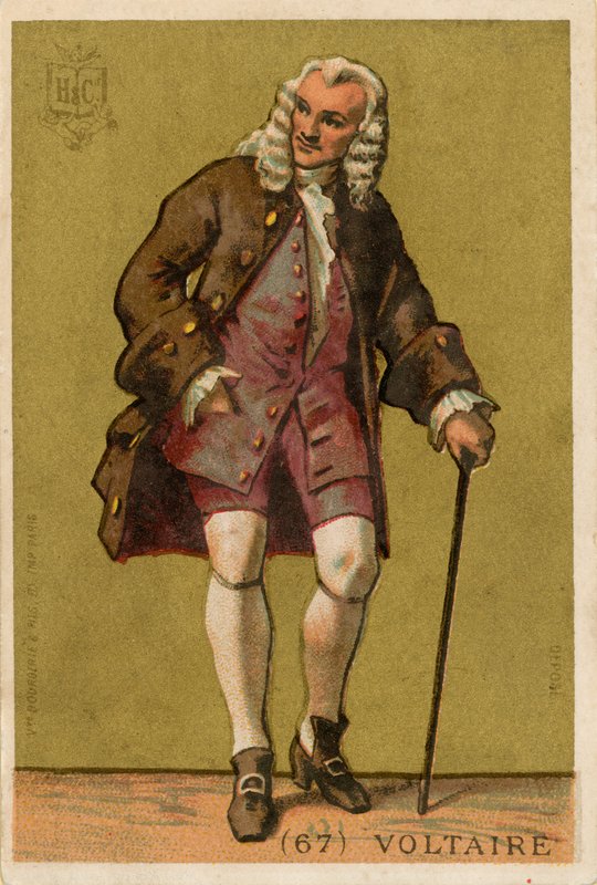 Voltaire von French School
