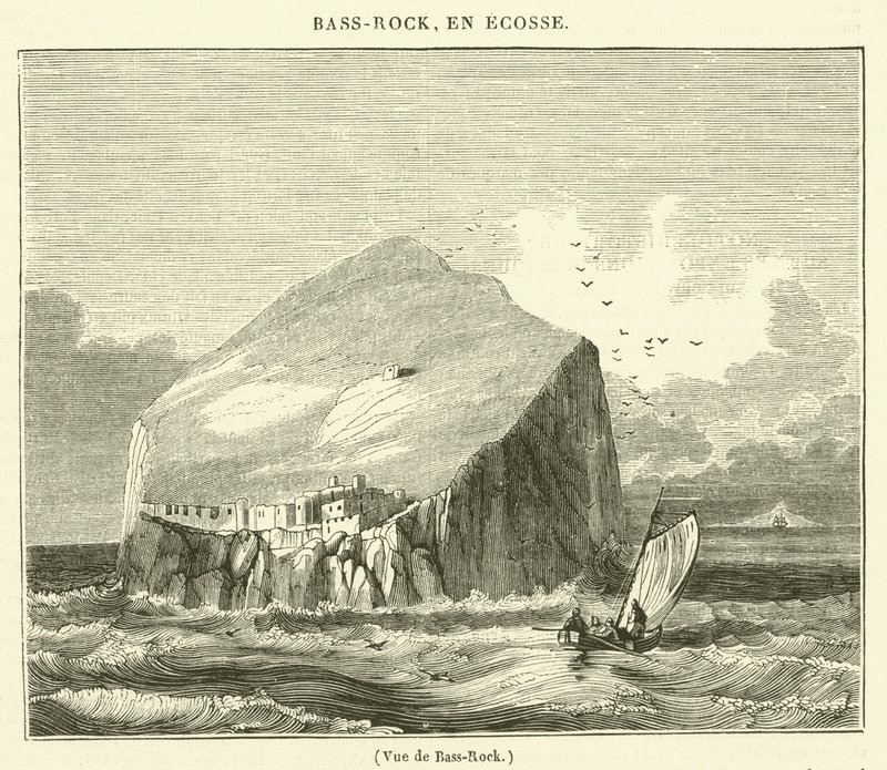 Ansicht von Bass-Rock (Gravur) von French School