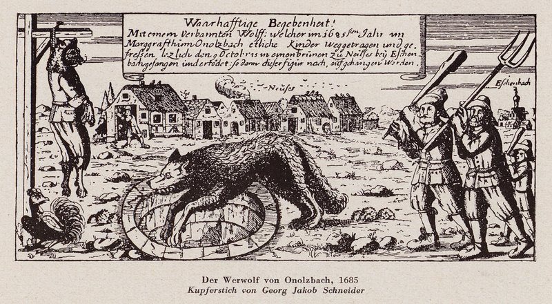 Der Wolf von Ansbach von G.J. Schneider