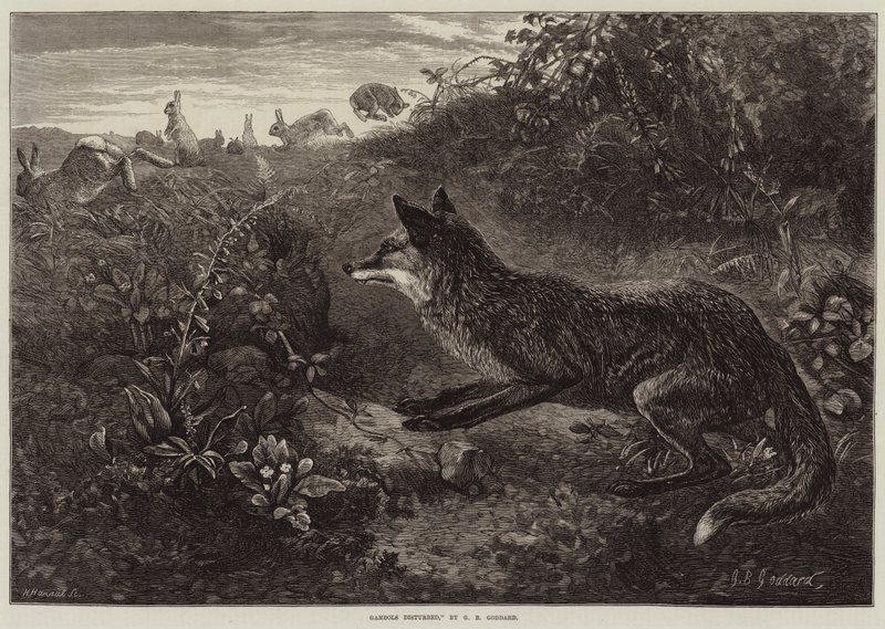 Gestörte Tollerei von George Bouverie Goddard