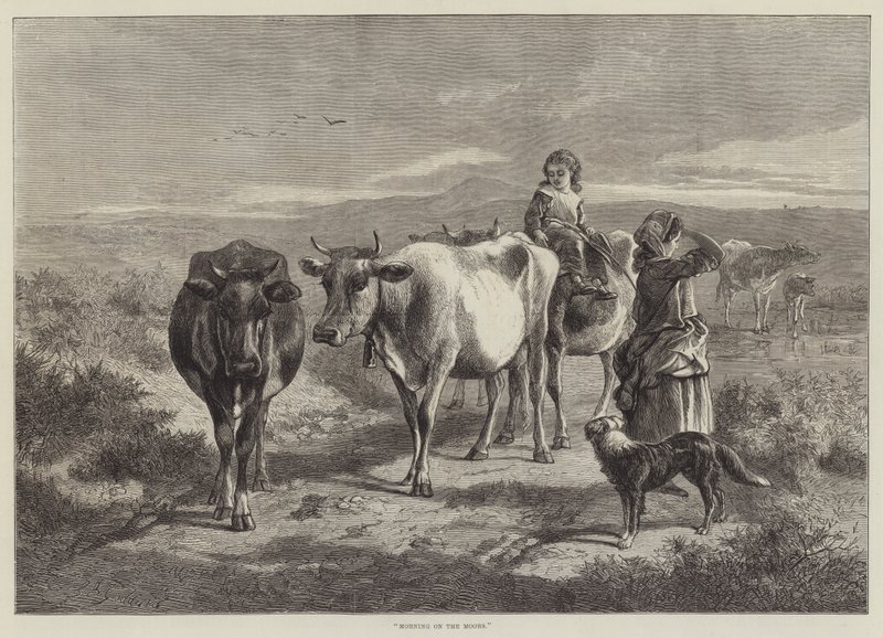 Morgen auf den Mooren von George Bouverie Goddard