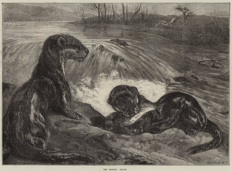 Die Monate, März von George Bouverie Goddard