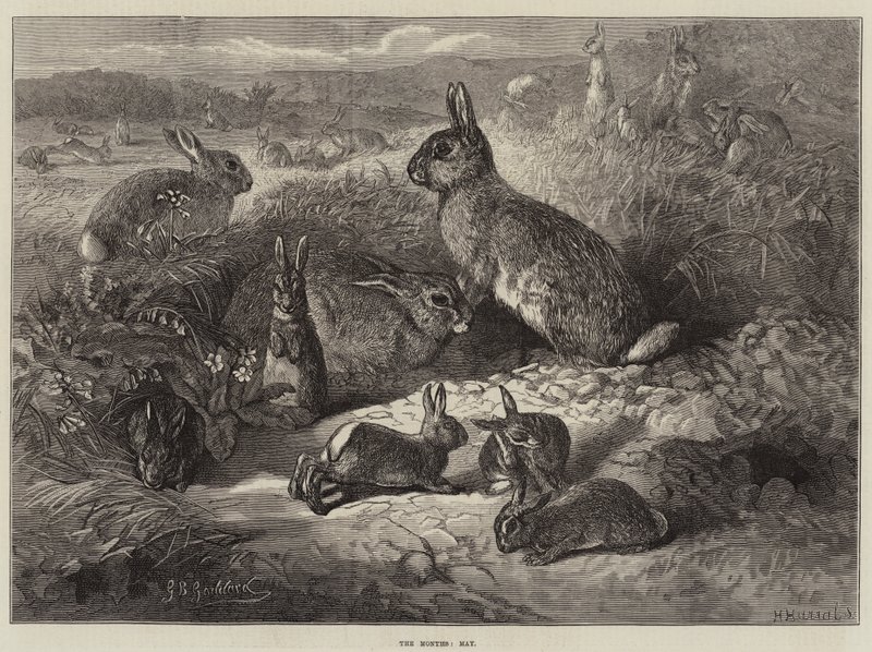 Die Monate, Mai von George Bouverie Goddard