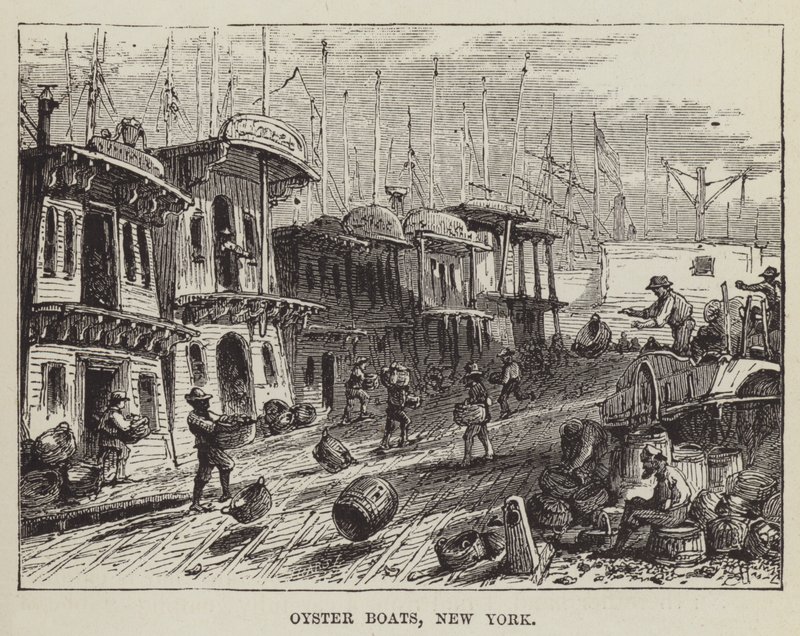 Austerboote, New York von George Augustus Sala