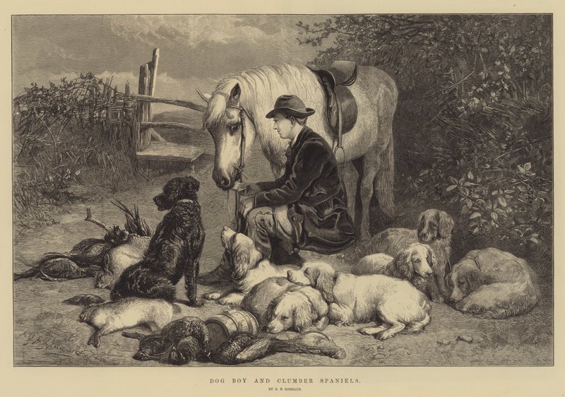 Hundejunge und Clumber Spaniels von George Bouverie Goddard