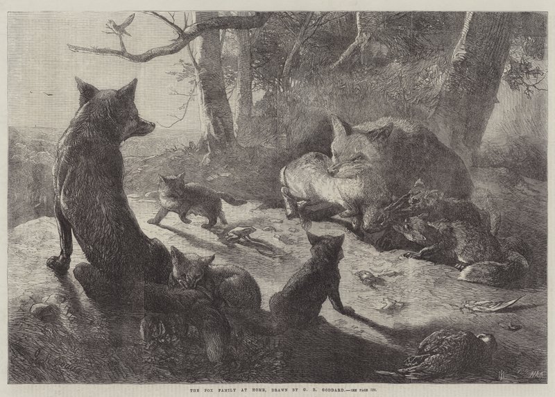 Die Fuchsfamilie zu Hause von George Bouverie Goddard