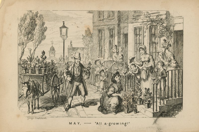 Mai - alles wächst von George Cruikshank