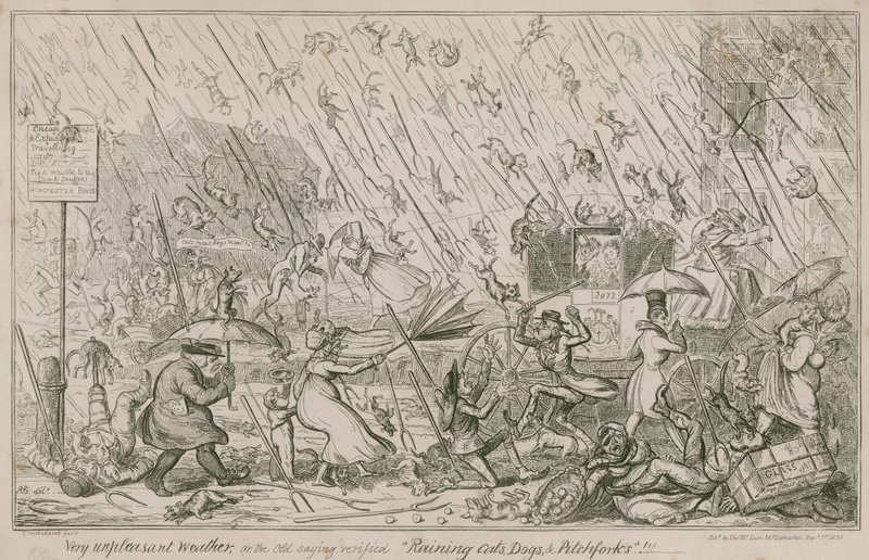 Es regnet Katzen, Hunde und Mistgabeln von George Cruikshank