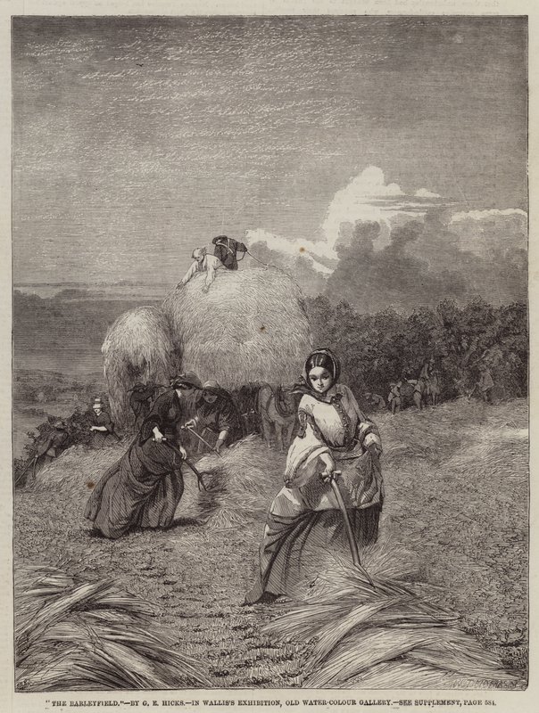 Das Gerstenfeld von George Elgar Hicks