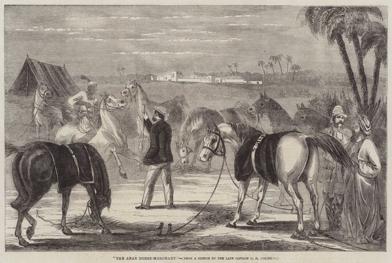 Der arabische Pferdehändler von George Francklin Atkinson