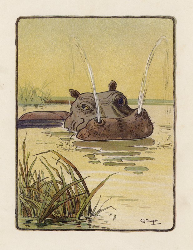Das Nilpferd von George Henry Thompson