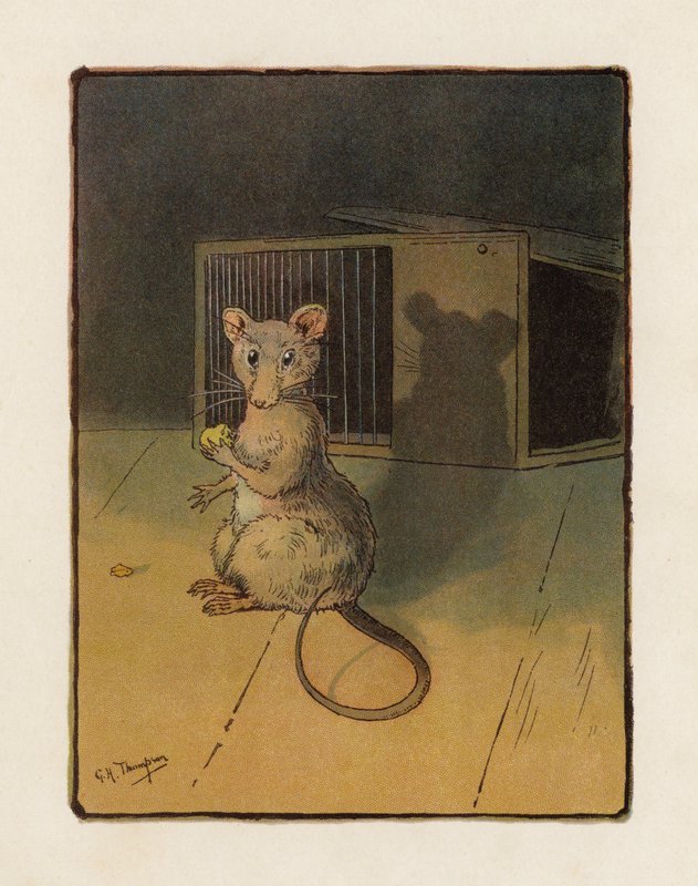 Die Maus von George Henry Thompson
