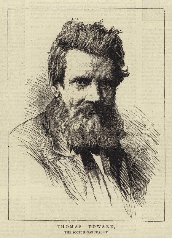 Thomas Edward von George Reid