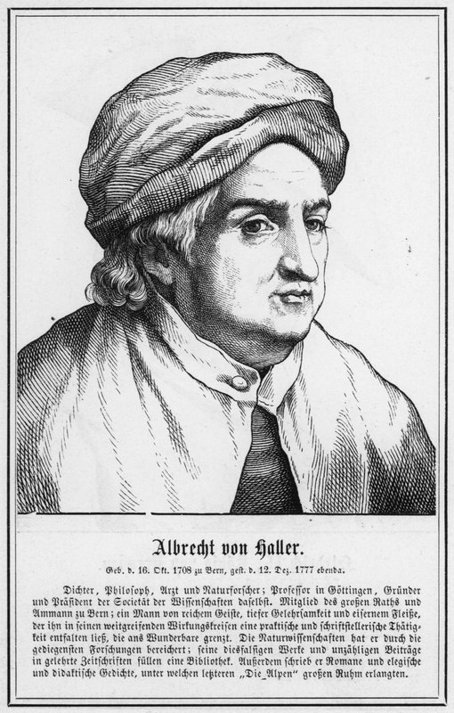 Albrecht von Haller von German School