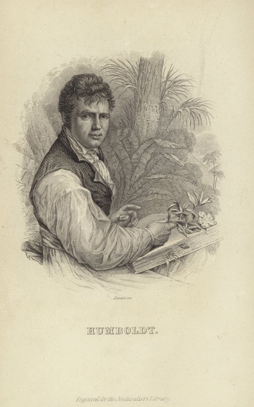 Alexander von Humboldt von German School