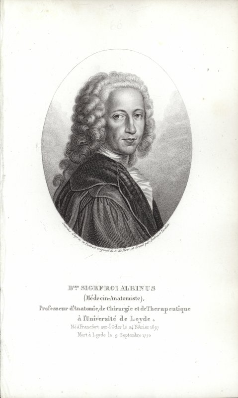 Bernhard Siegfried Albinus von German School