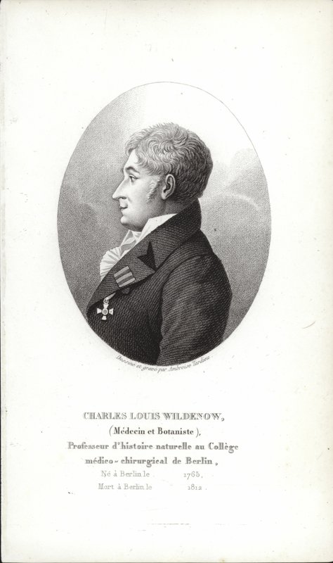 Charles Louis Wildenow von German School