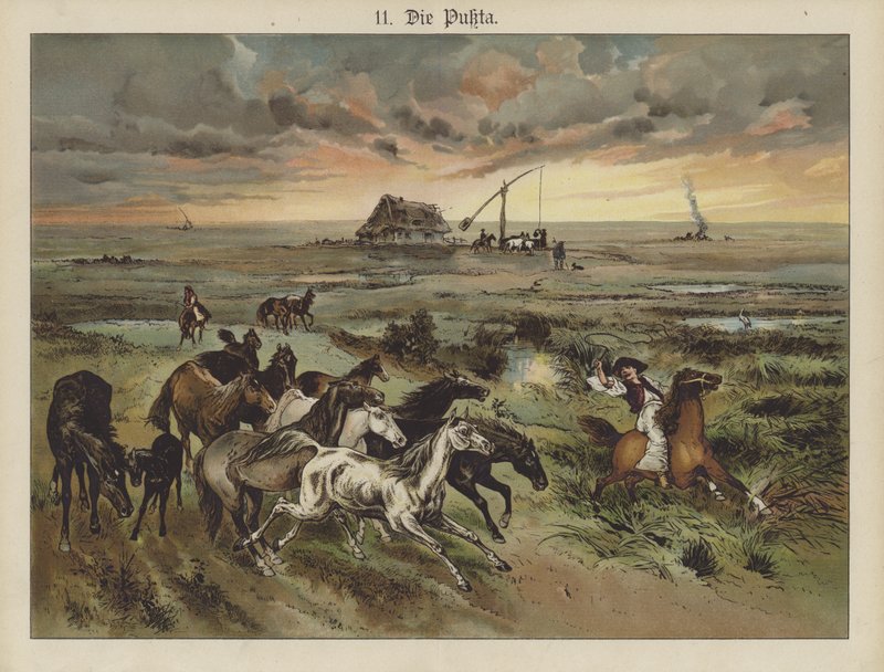 Die Pukta von German School