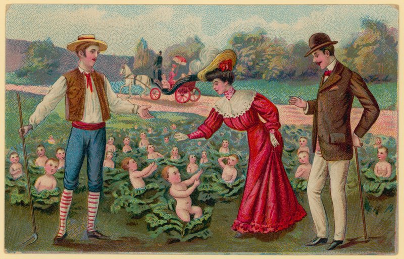 Babys aus Kohlköpfen wachsen lassen von German School