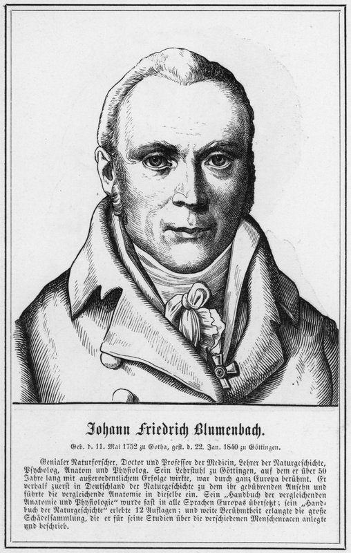 Johann Friedrich Blumenbach von German School