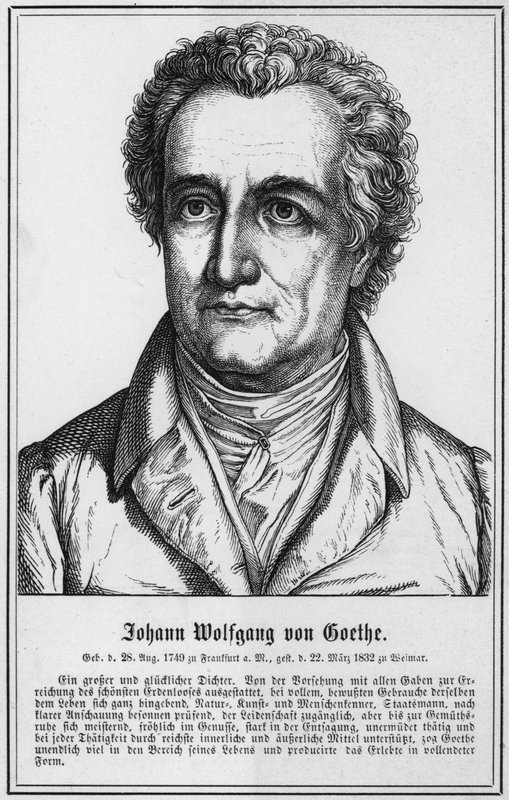 Johann Wolfgang von Goethe (Stich) von German School