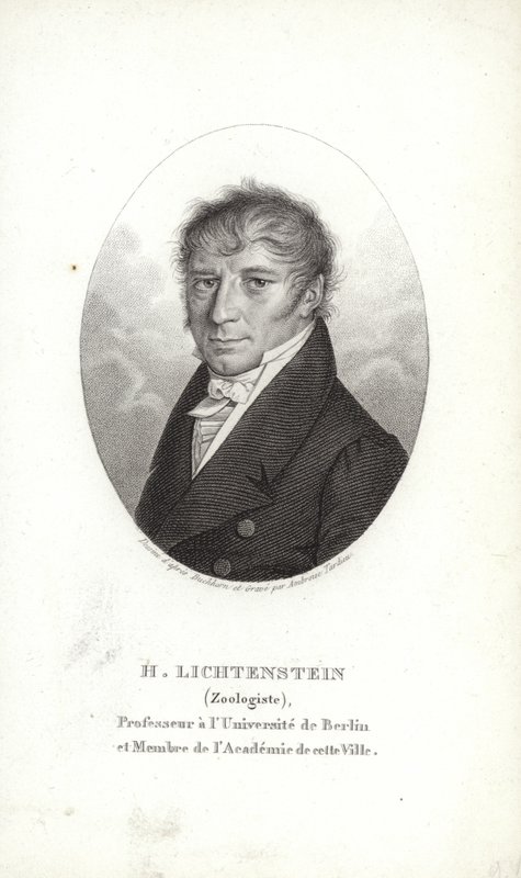 Martin Lichtenstein von German School