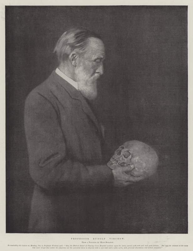 Professor Rudolf Virchow von German School