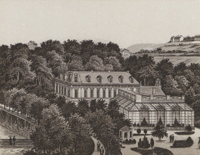 Schönbrunn von German School