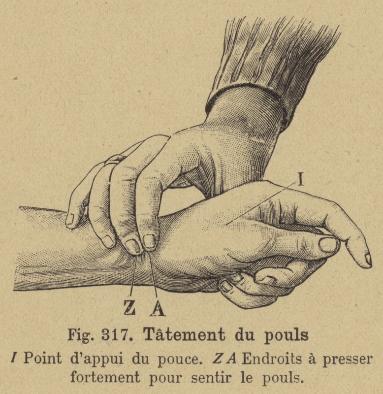 Pulsmessung am Handgelenk von German School
