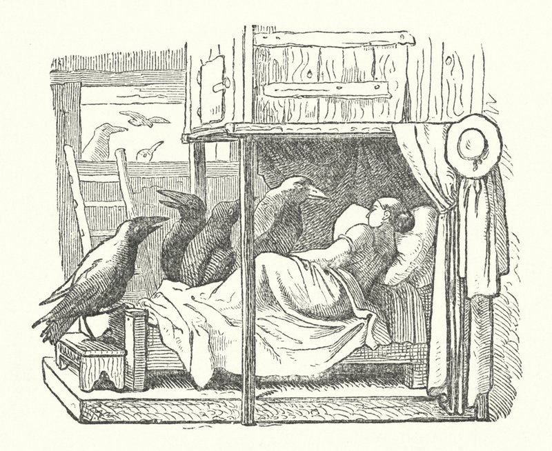 Die sieben Raben (Stich) von German School