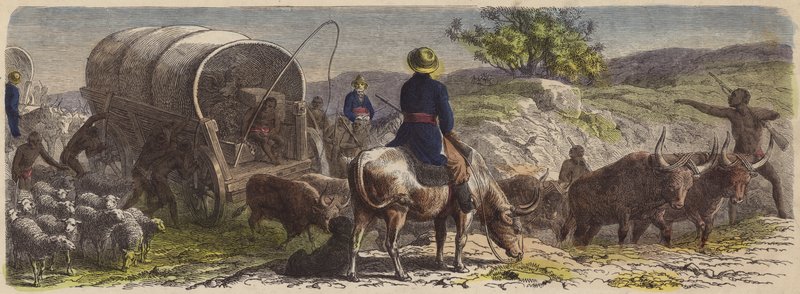 Wagenzug in Südafrika von German School