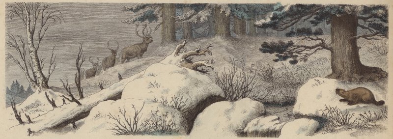 Winterlandschaft in Kanada von German School