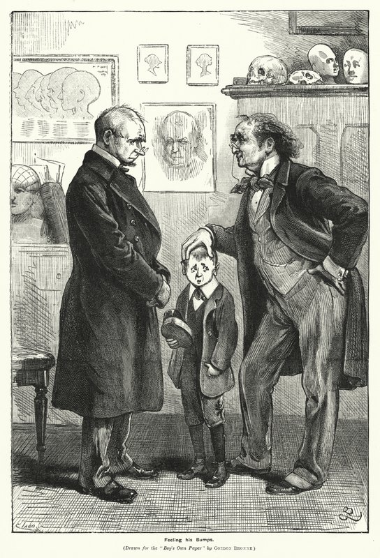 Seine Beulen fühlen (Stich) von Gordon Frederick (after) Browne