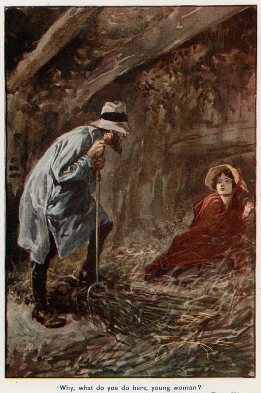 Illustration für Adam Bede von Gordon Frederick Browne