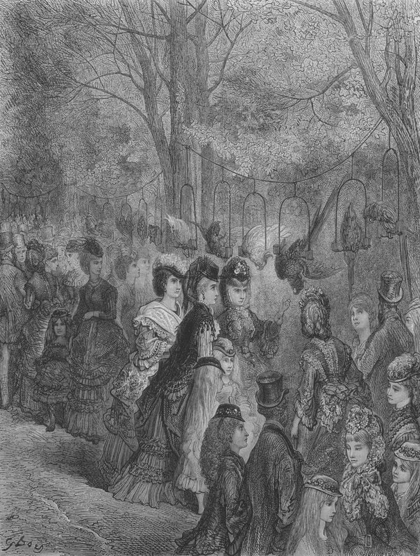 Zoologischer Garten, Die Vögel von Gustave after Dore