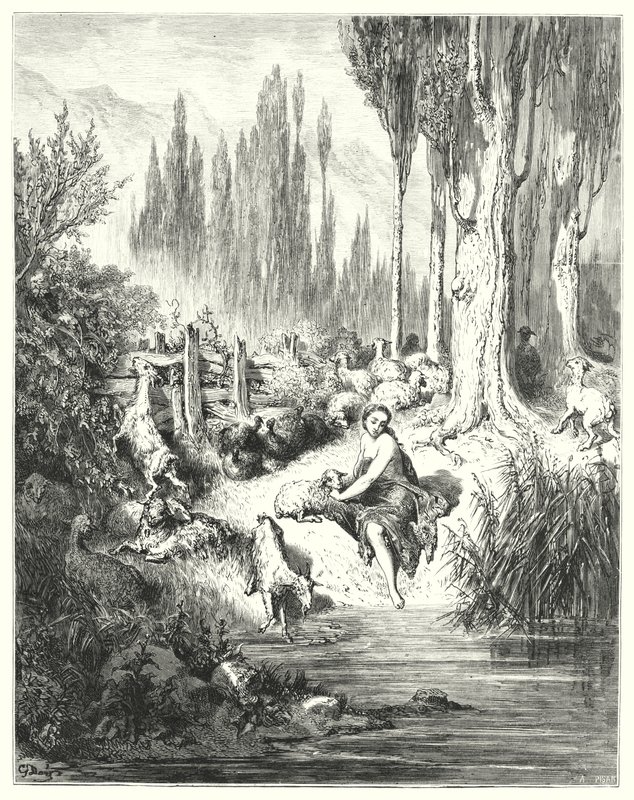 Eselshaut von Gustave Dore