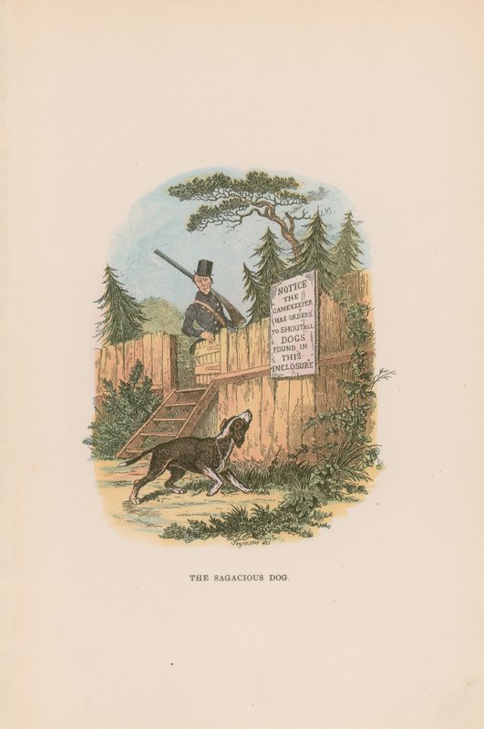 Illustration für Pickwick Papers von Hablot Knight Browne