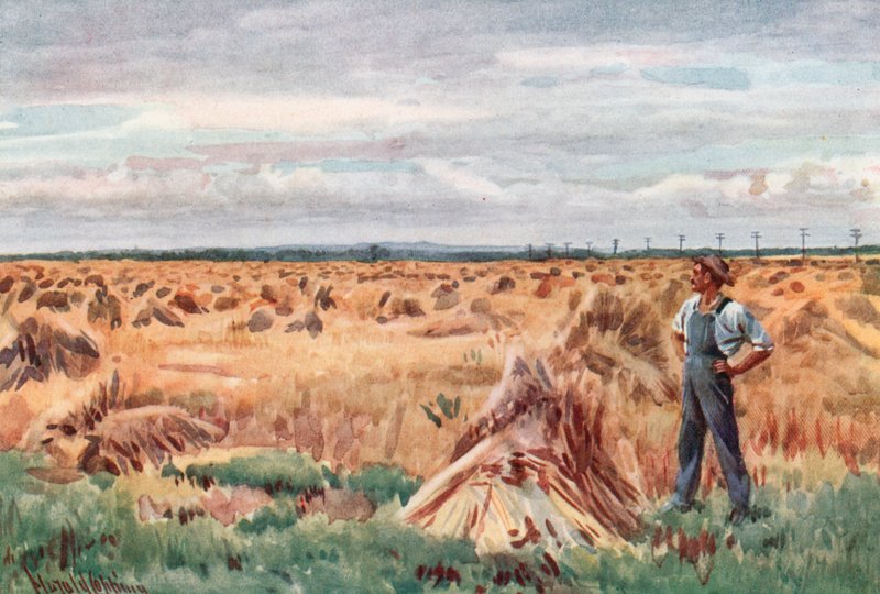 Entlang der Weizenfelder von Manitoba von Harold Copping