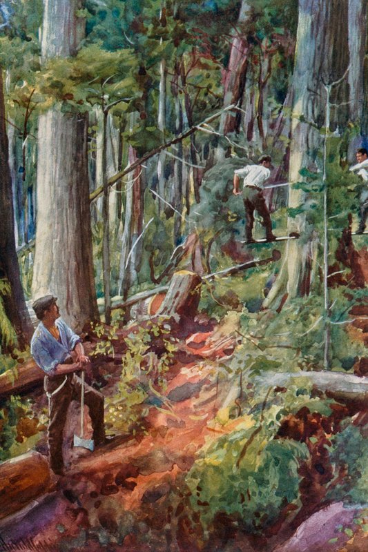 Holzeinschlag in British Columbia von Harold Copping