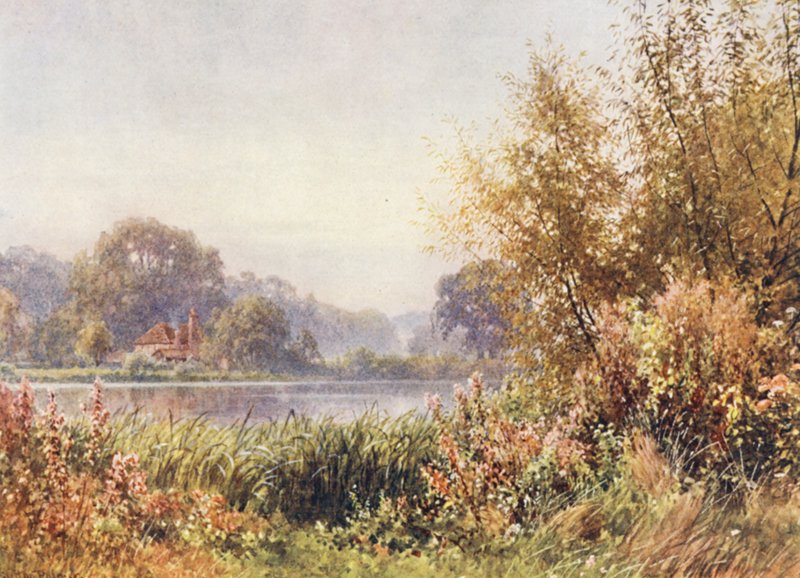 Herbstunkräuter, Chilworth von Harold Sutton Palmer