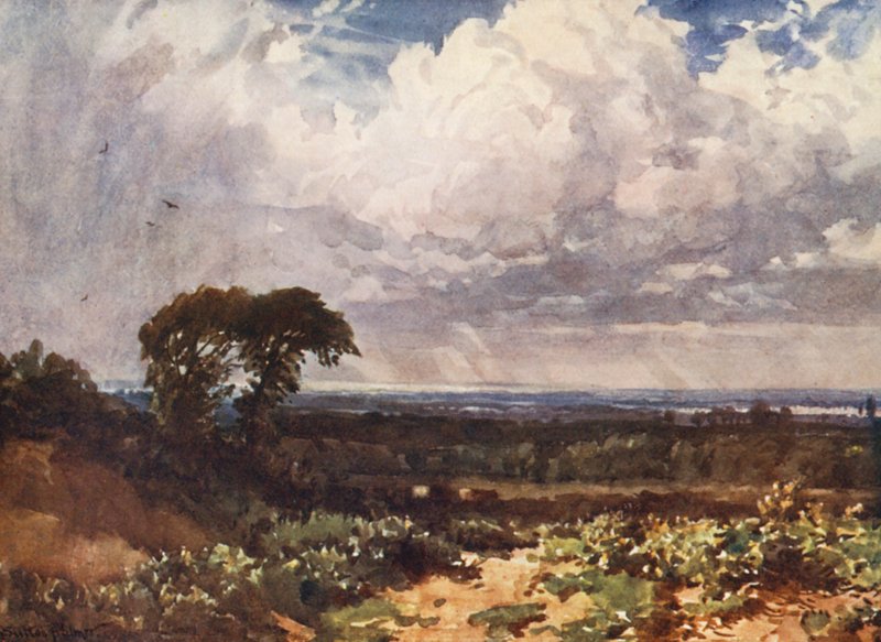 Die Wolke von Harold Sutton Palmer