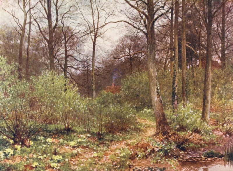 Das Häuschen des Wildhüters von Harold Sutton Palmer