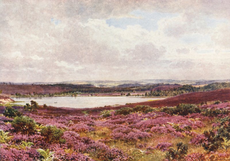 Der Große Teich, Frensham von Harold Sutton Palmer