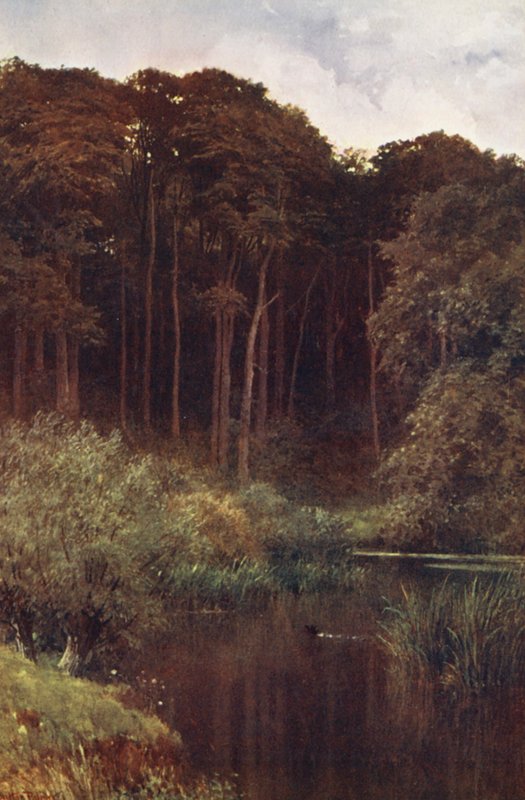 Waldtiefen, Wotton von Harold Sutton Palmer