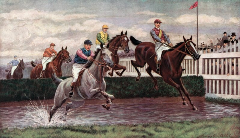 Hindernisrennen von Harrington Bird