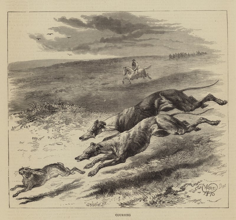 Hetzjagd von Harrison William Weir