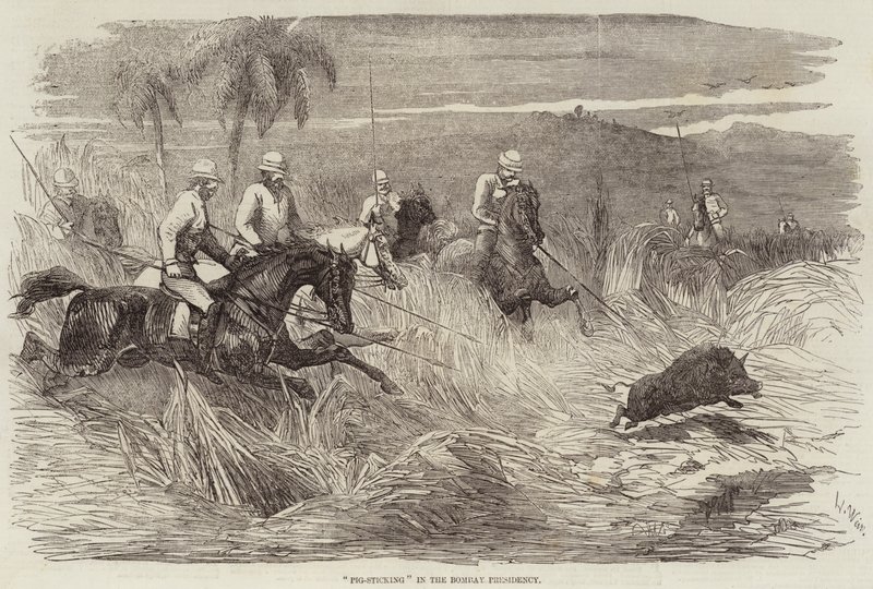 Schweinejagd in der Bombay-Präsidentschaft von Harrison William Weir