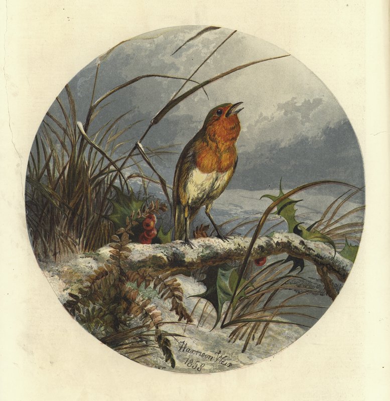 Der Weihnachtsliedersänger von Harrison William Weir