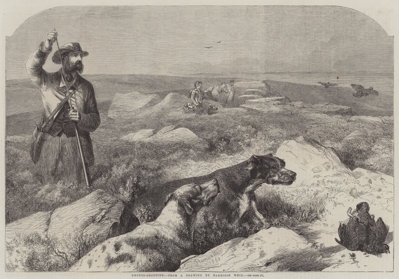 Moorhuhnjagd (Gravur) von Harrison William Weir